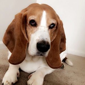 Meet your Posher, Aiden